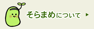 そらまめについて